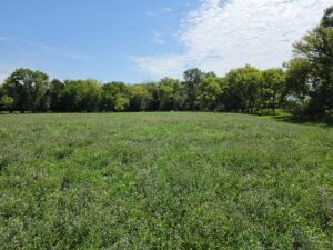 Farm for sale Lincoln County, NE