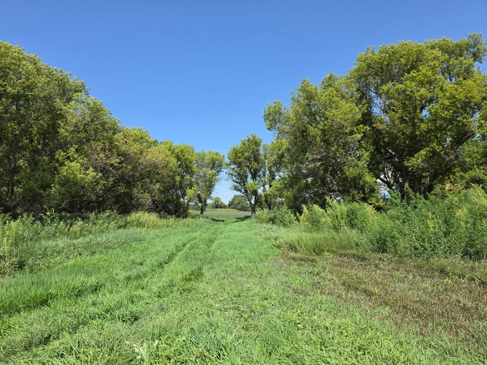 Farm for sale Lincoln County, NE