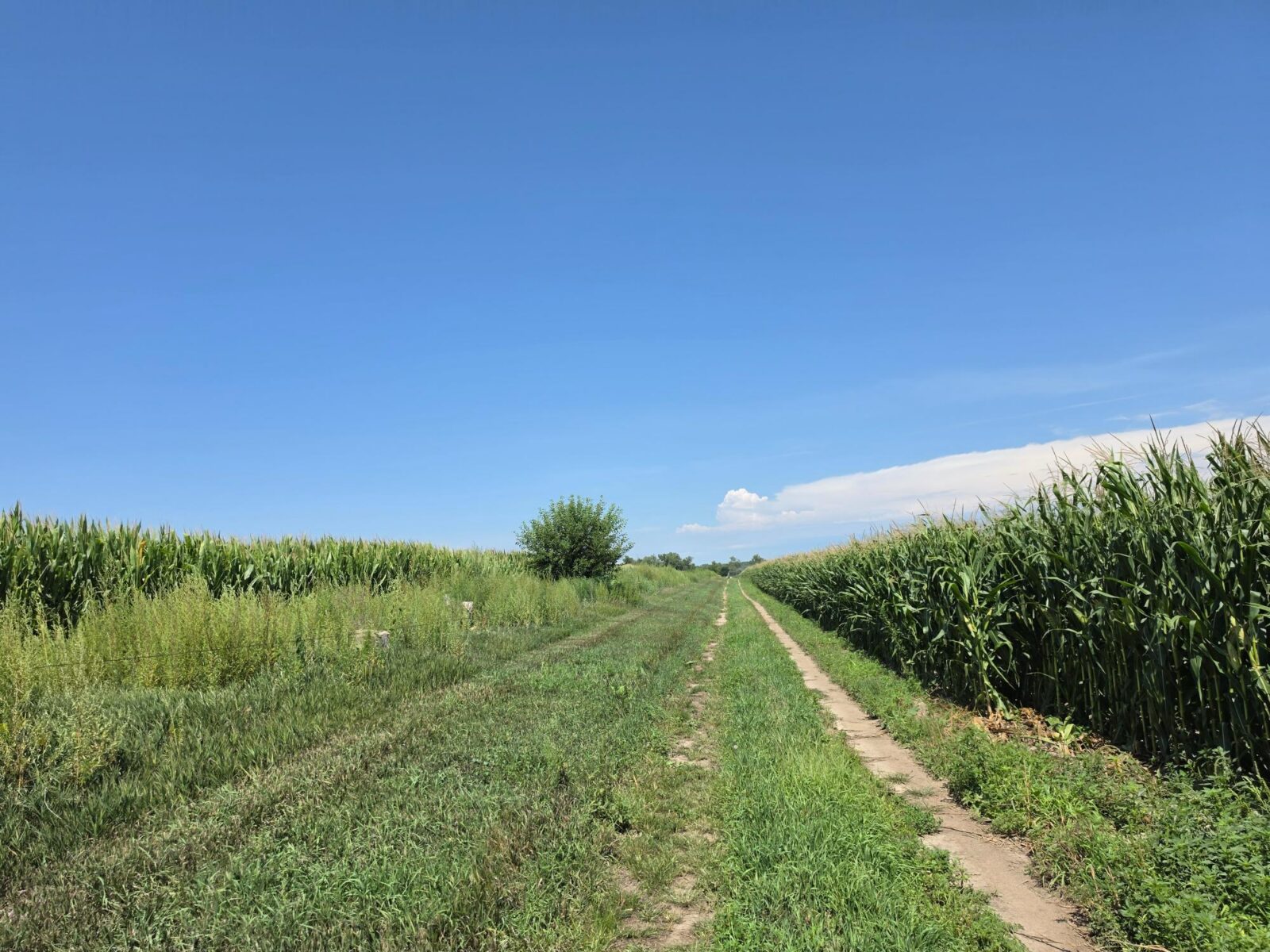 Farm for sale Lincoln County, NE