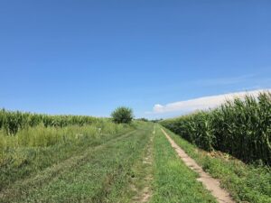 Farm for sale Lincoln County, NE