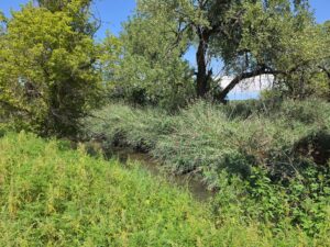 Farm for sale Lincoln County, NE