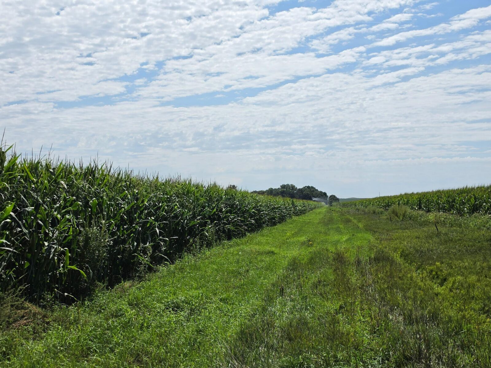 Farm for sale Lincoln County, NE