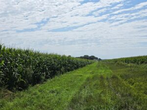 Farm for sale Lincoln County, NE