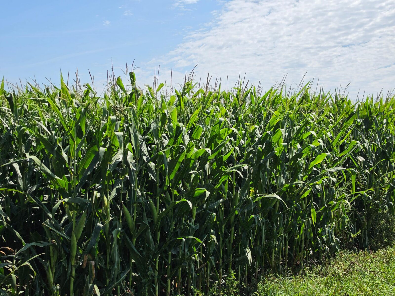 Farm for sale Lincoln County, NE