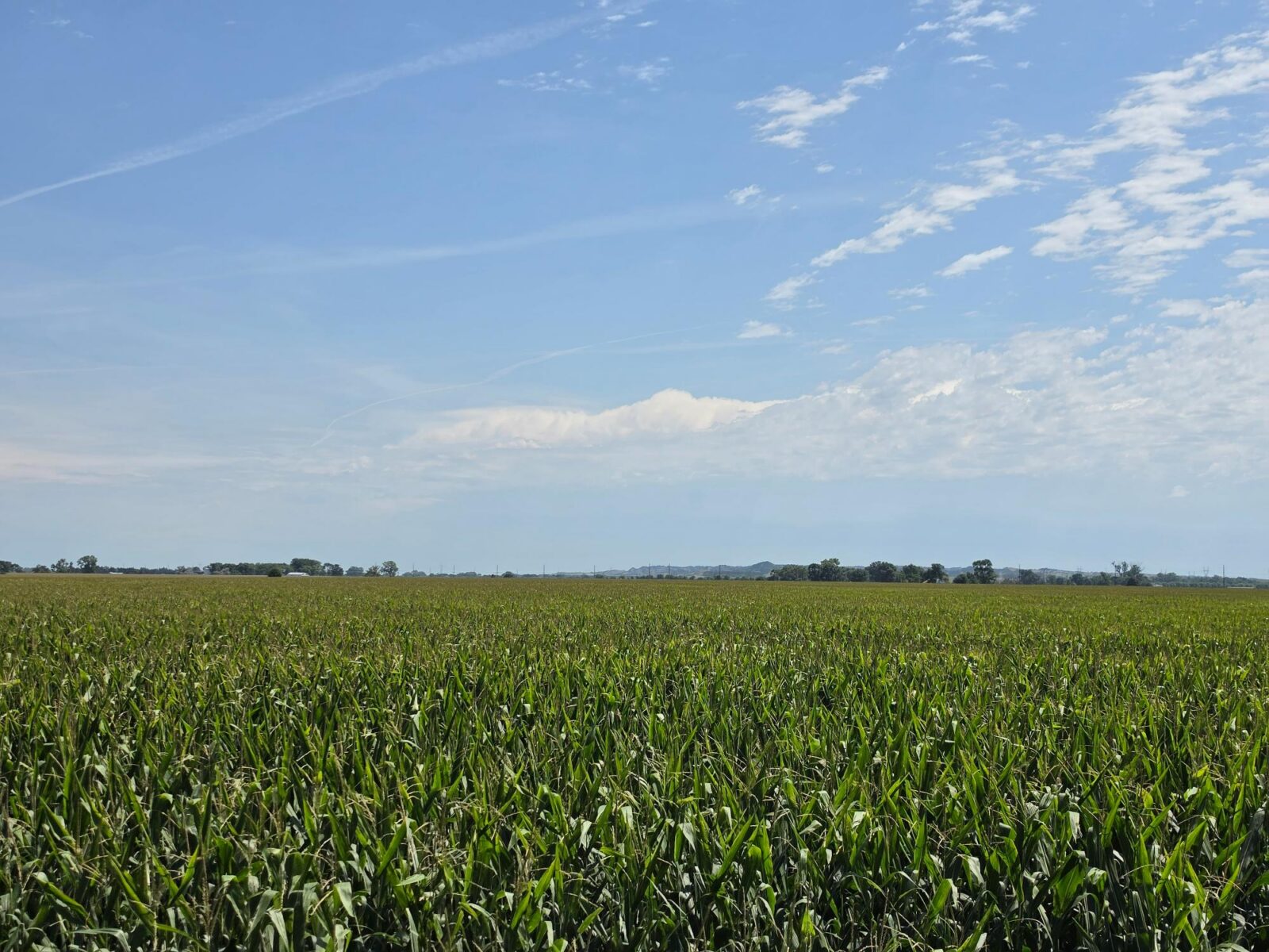 Farm for sale Lincoln County, NE