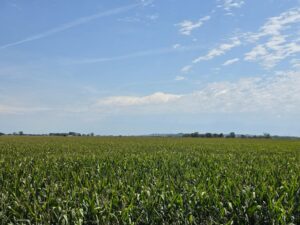 Farm for sale Lincoln County, NE