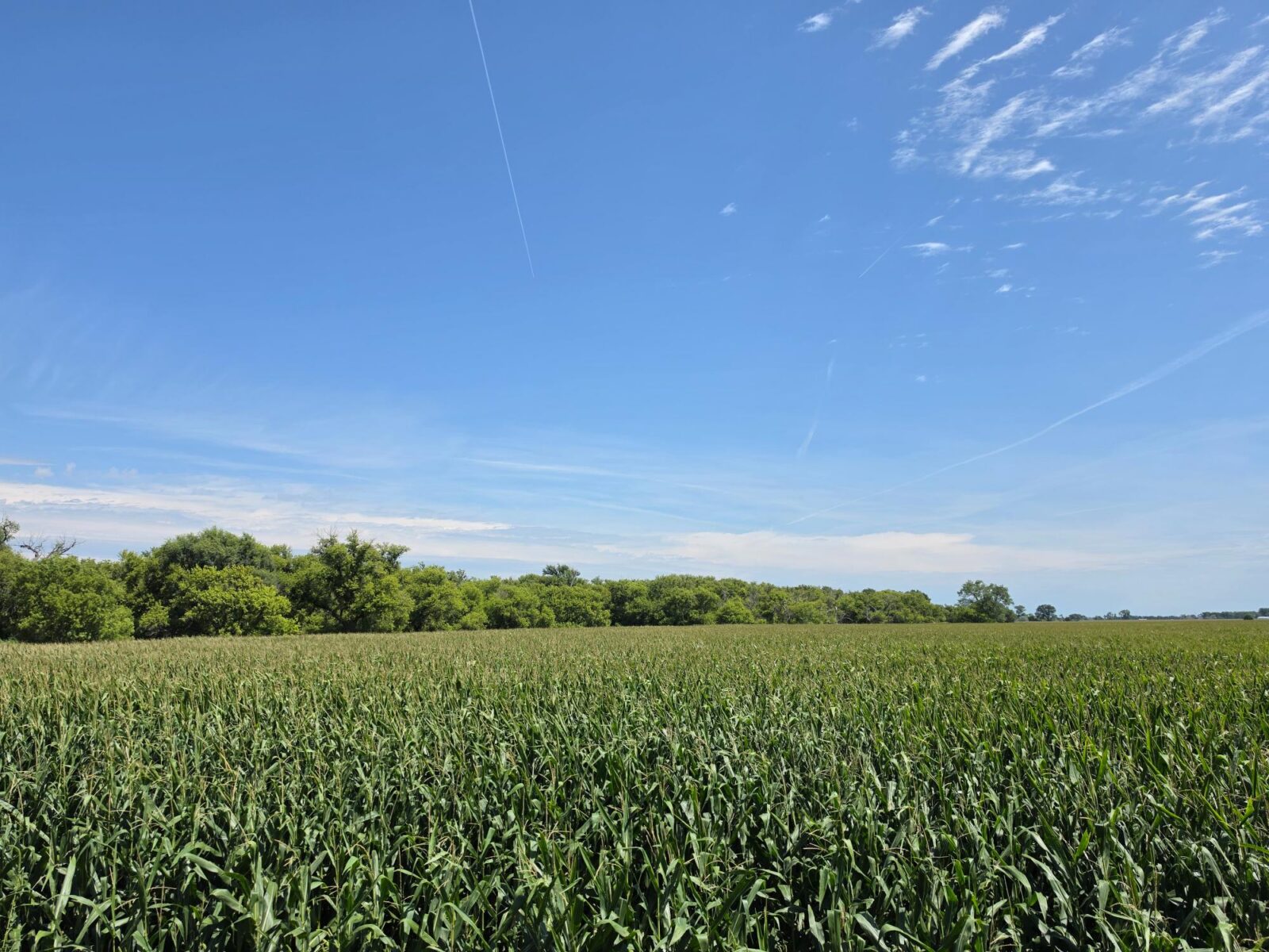 Farm for sale Lincoln County, NE