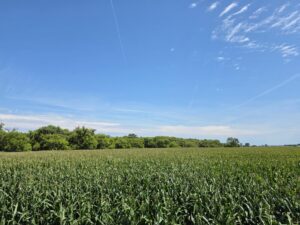 Farm for sale Lincoln County, NE