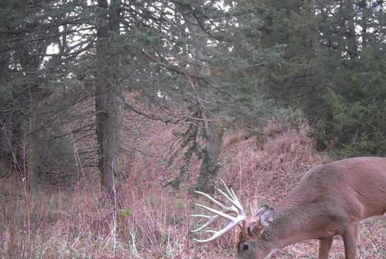 Custer County Nebraska hunting land for sale