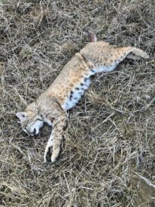 Custer County Nebraska hunting land for sale