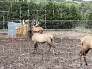 Custer County Nebraska hunting land for sale