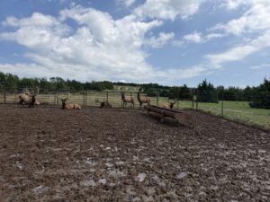 Custer County Nebraska hunting land for sale