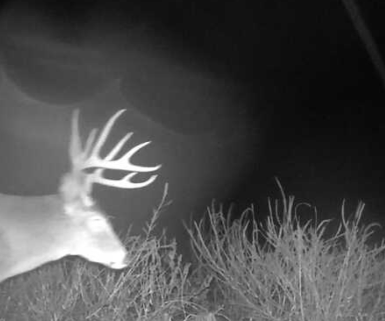 Custer County Nebraska hunting land for sale