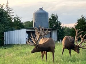 Custer County Nebraska hunting land for sale