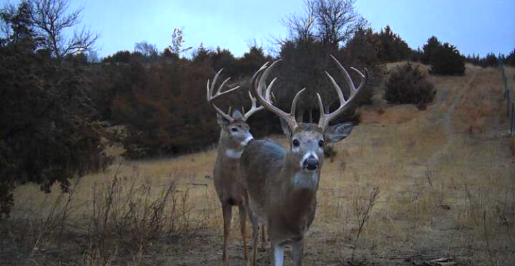 Custer County Nebraska hunting land for sale
