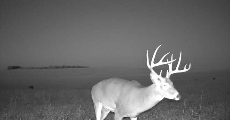 Custer County Nebraska hunting land for sale