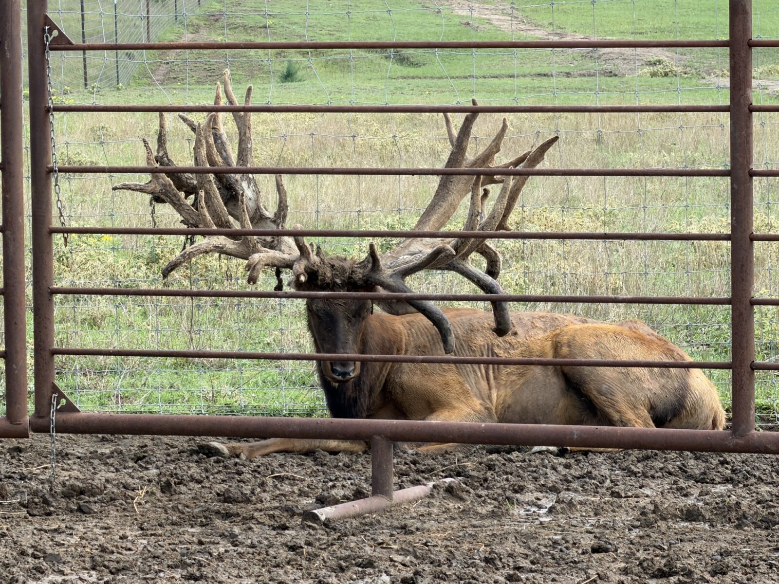 Custer County Nebraska hunting land for sale