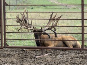 Custer County Nebraska hunting land for sale