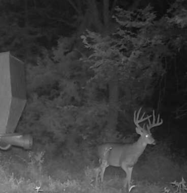 Custer County Nebraska hunting land for sale