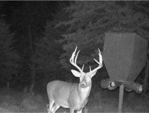 Custer County Nebraska hunting land for sale