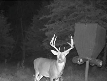 Custer County Nebraska hunting land for sale