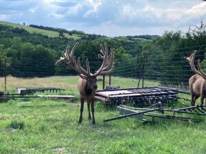 Custer County Nebraska hunting land for sale