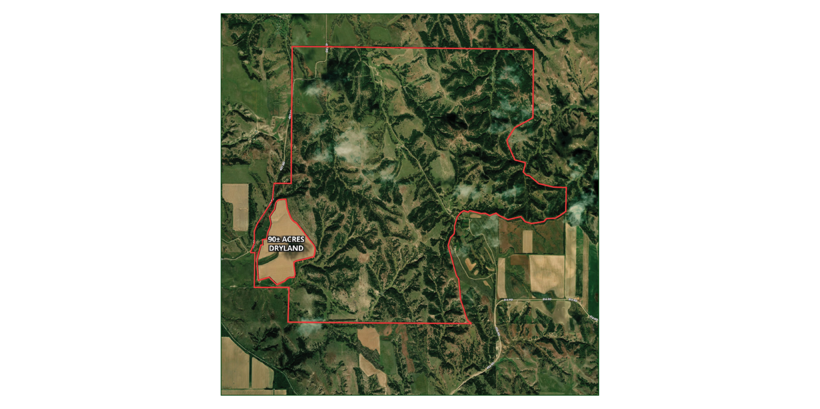 2,004 Acres, Custer County Trophy Elk Ranch