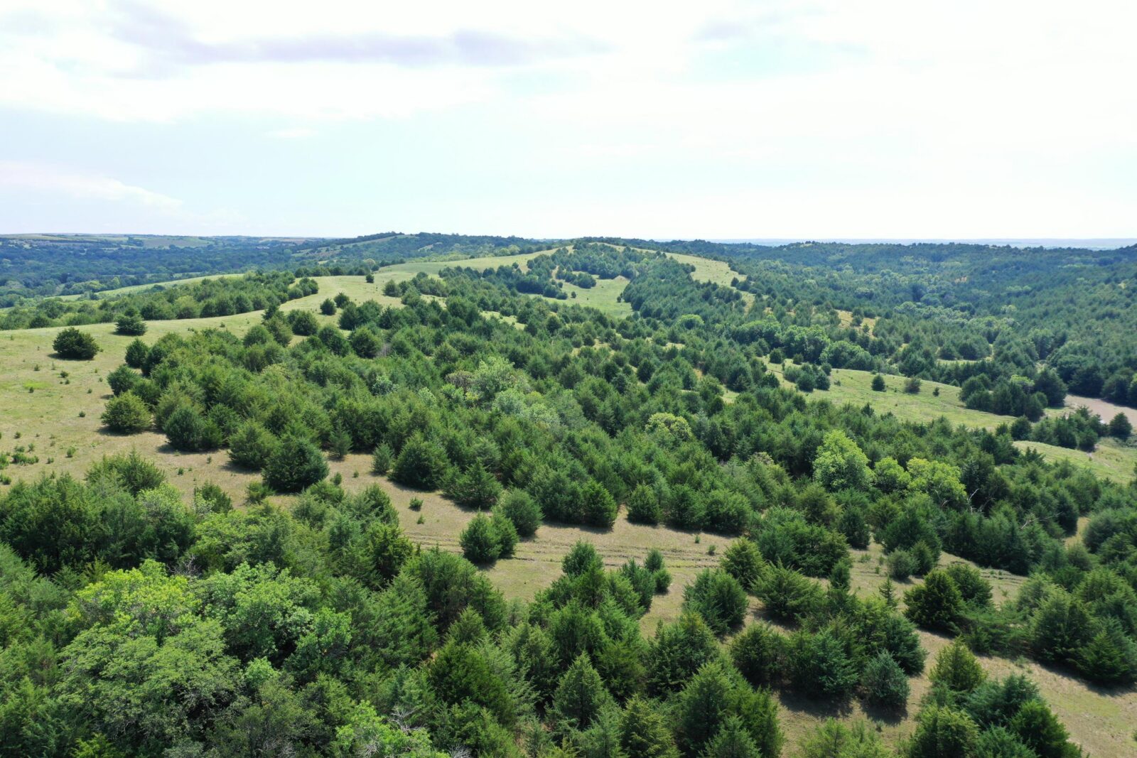 Custer County Nebraska hunting land for sale