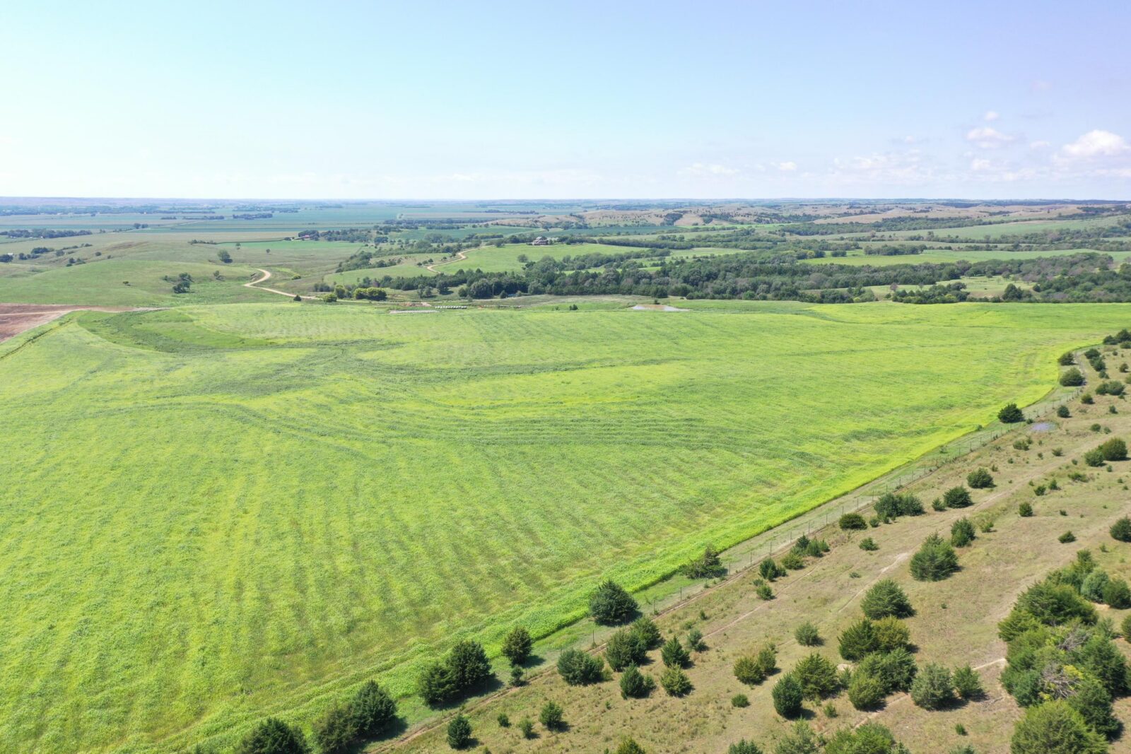 Custer County Nebraska hunting land for sale