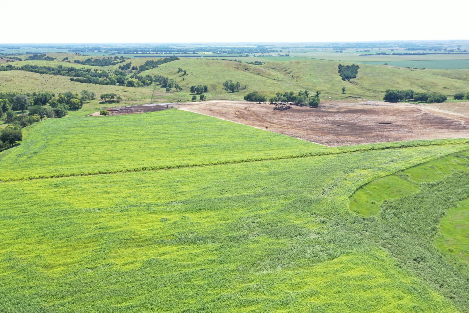 Custer County Nebraska hunting land for sale