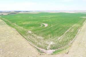 Hay Springs, NE land for sale