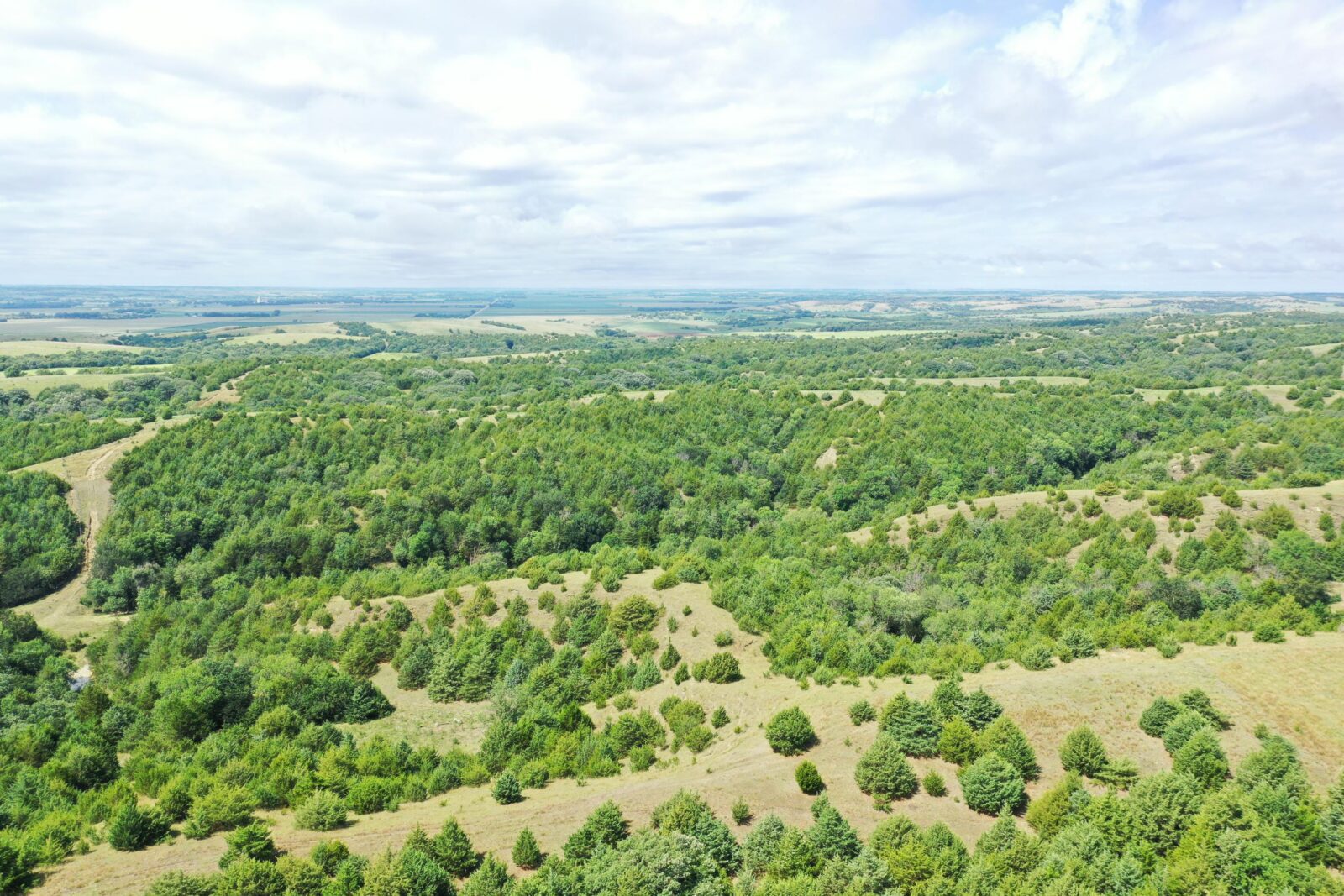 Custer County Nebraska hunting land for sale