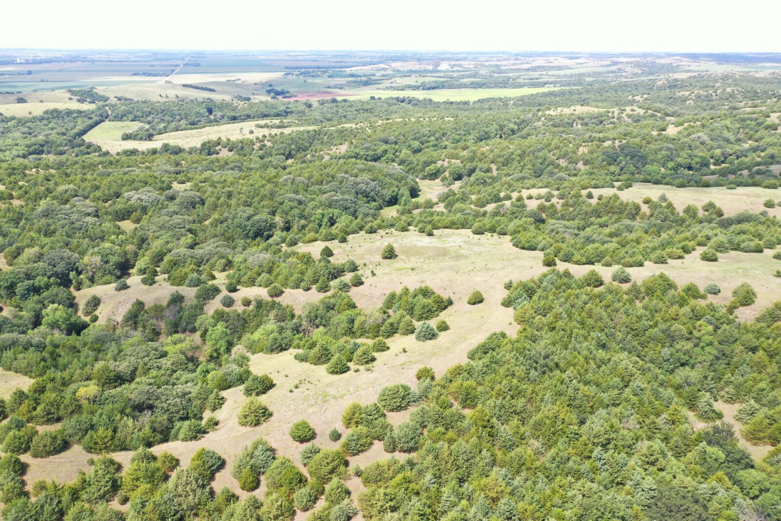Custer County Nebraska hunting land for sale