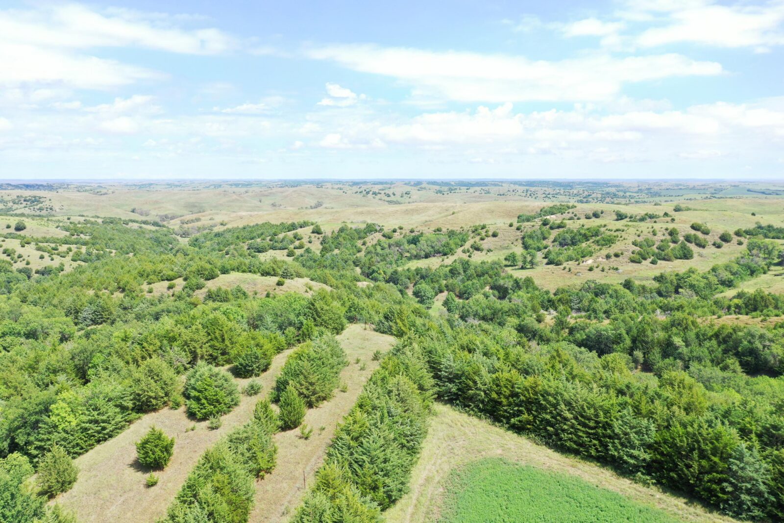 Custer County Nebraska hunting land for sale
