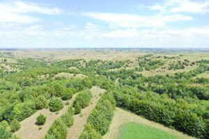 Custer County Nebraska hunting land for sale