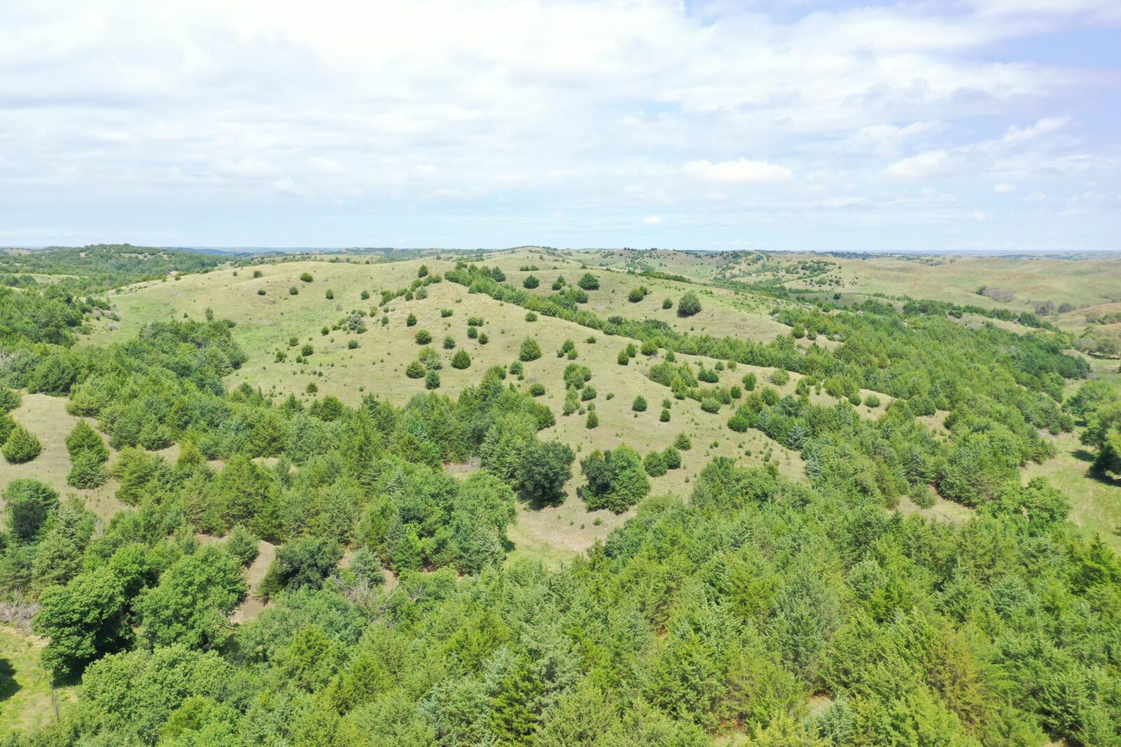 Custer County Nebraska hunting land for sale