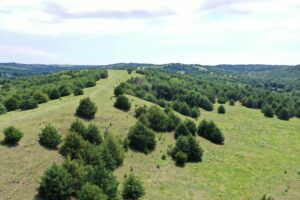 Custer County Nebraska hunting land for sale