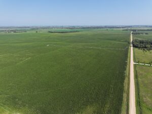 Doniphan Pivots