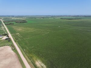 Doniphan Pivots