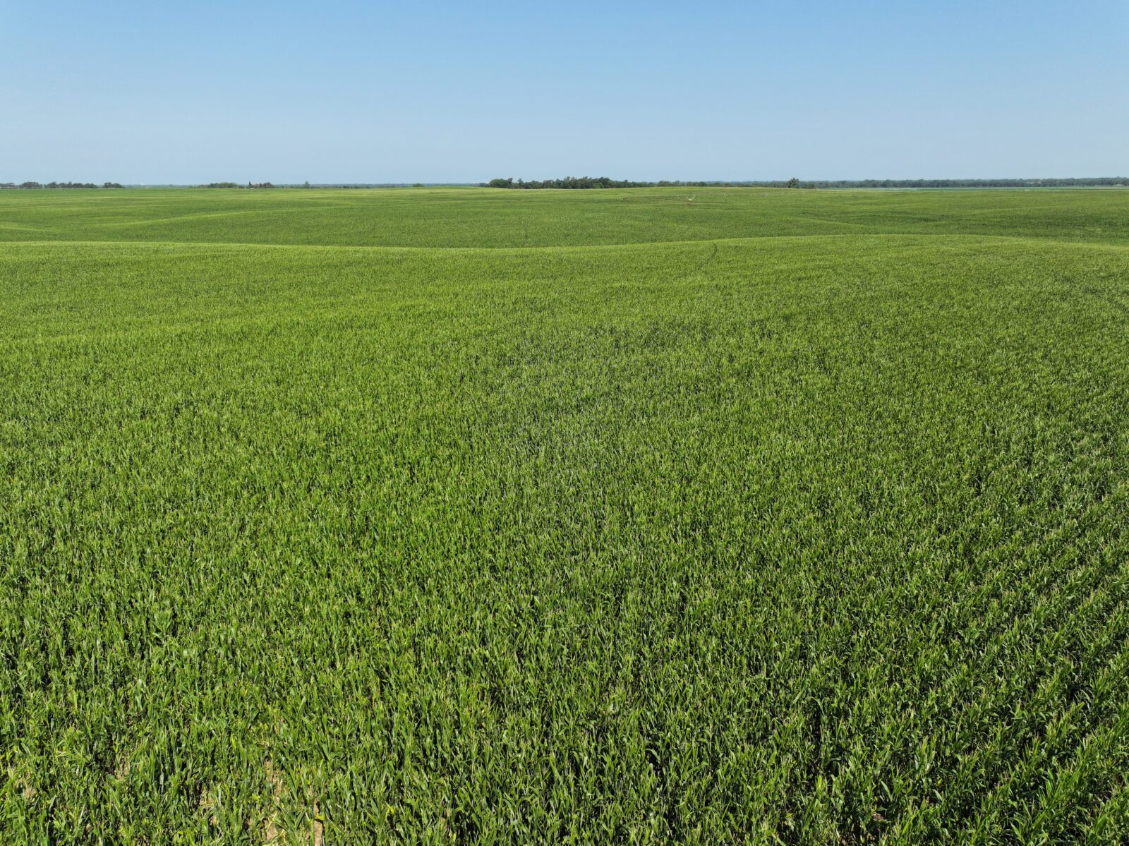 Doniphan Pivots