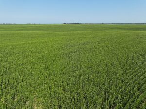 Doniphan Pivots