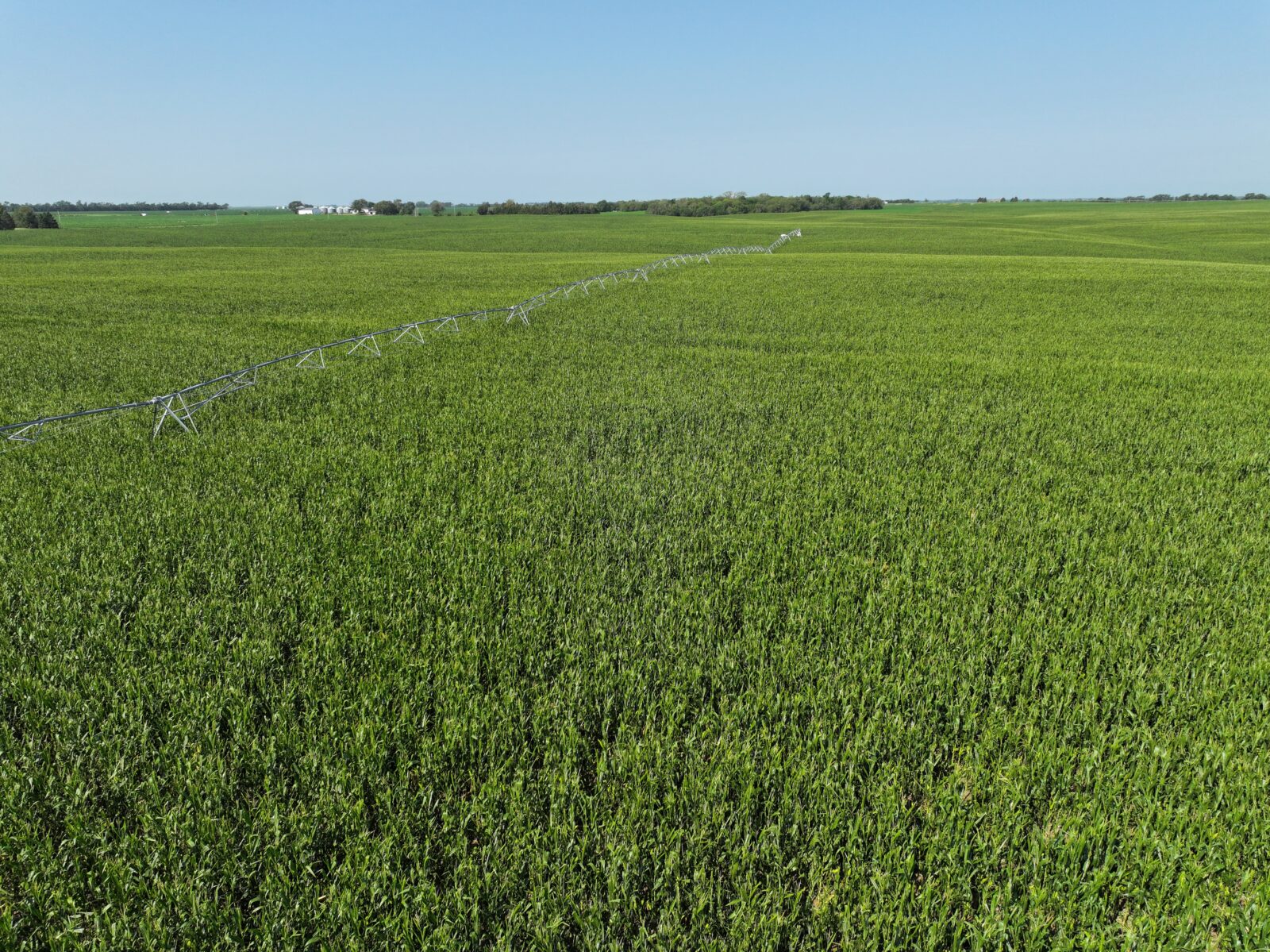 Doniphan Pivots