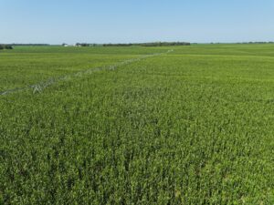 Doniphan Pivots