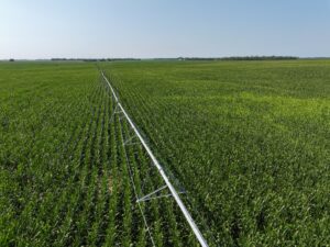 Doniphan Pivots