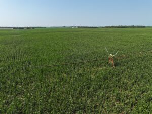 Doniphan Pivots