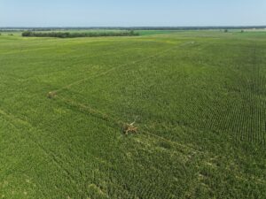 Doniphan Pivots