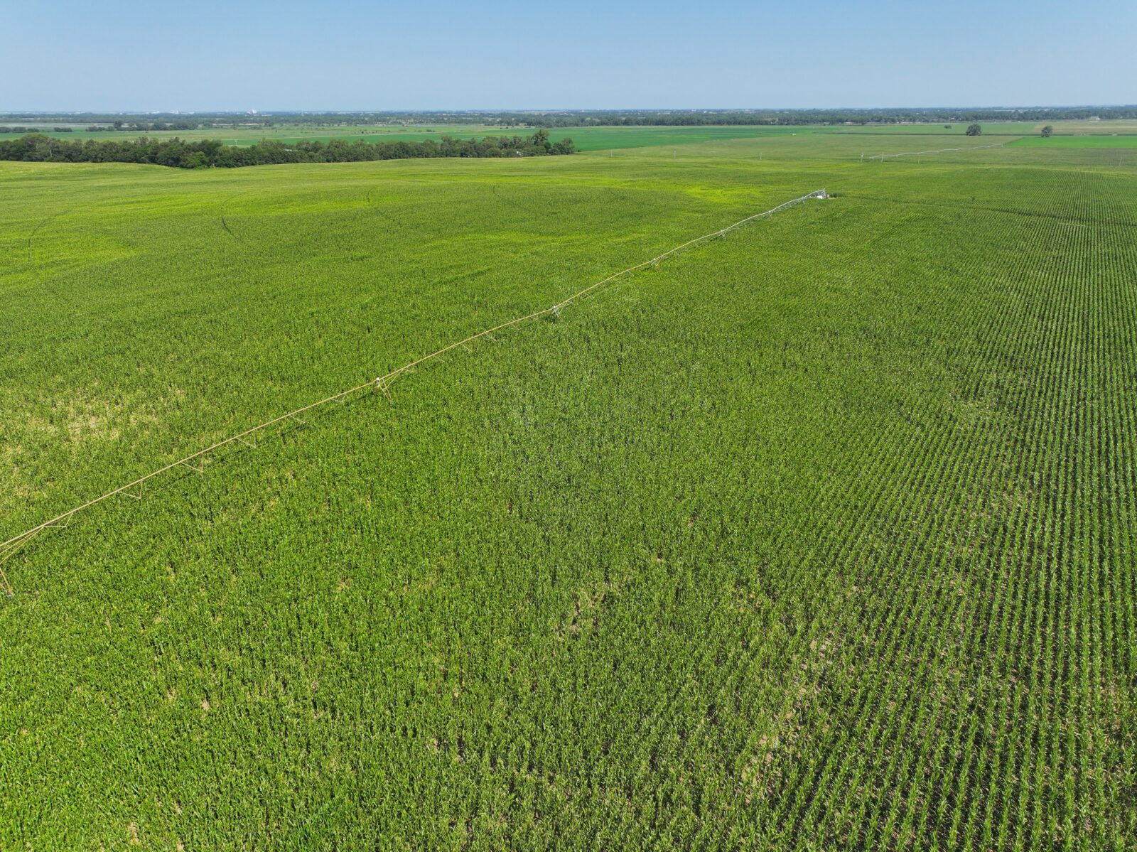 Doniphan Pivots