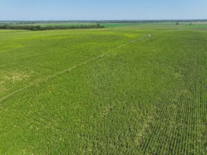 Doniphan Pivots