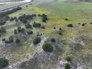 Thedford, NE home acreage for sale
