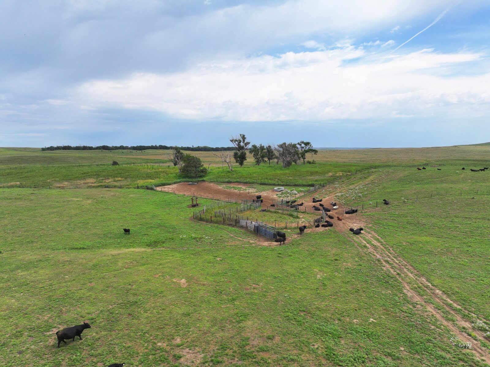 Lincoln County Nebraska ranch pasture land for sale